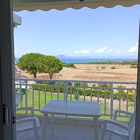 Kipriotis أركودي