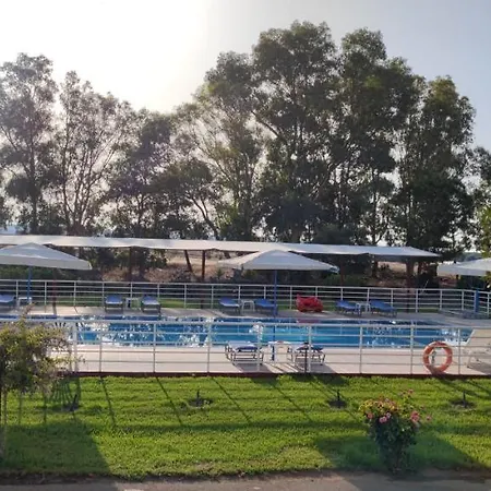 Kipriotis أركودي