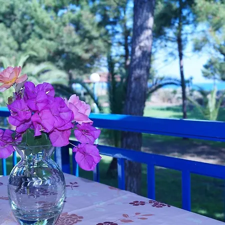 Kipriotis 2* أركودي