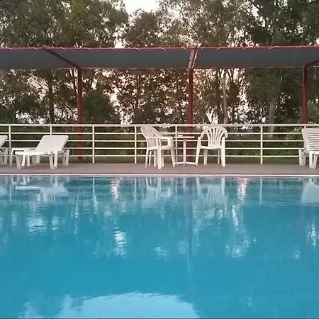 Kipriotis أركودي