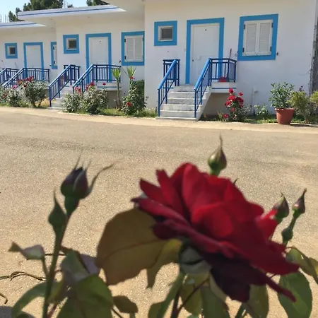 Kipriotis شقة فندقية أركودي