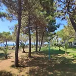 Kipriotis Arkoudi