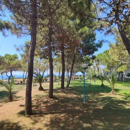 Kipriotis Arkoudi