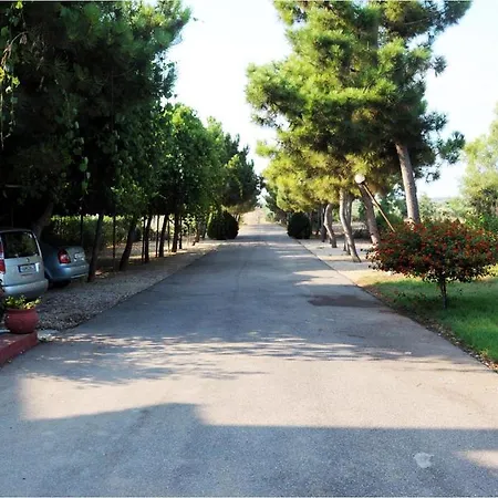 Kipriotis 2* Arkoudi