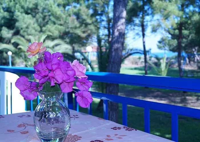 Kipriotis 2* Arkoudi