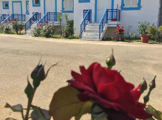 Kipriotis Lägenhetshotell Arkoudi